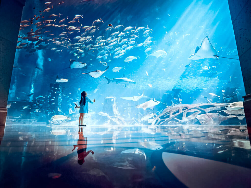 ThePalm_Aquarium_DER1496249